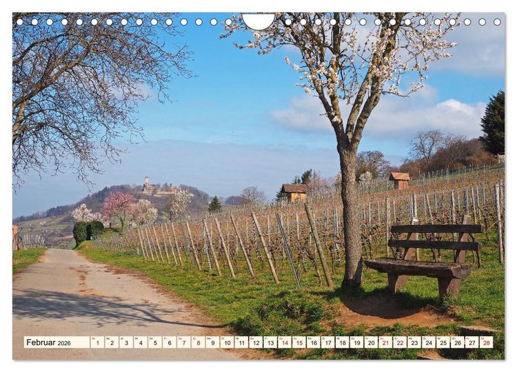 Produktbild: Vom Ried an die Bergstra&szlig;e, durch den Odenwald ins Neckartal (Wandkalender 2026 DIN A4 quer), CALVENDO Monatskalender