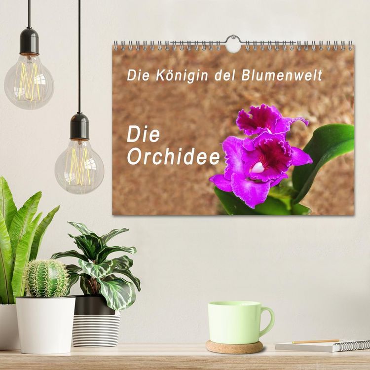 Produktbild: Die K&ouml;nigin der Blumenwelt, die Orchidee (Wandkalender 2026 DIN A4 quer), CALVENDO Monatskalender