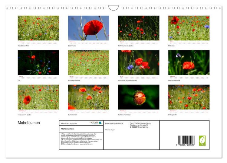 Produktbild: Mohnblumen (Wandkalender 2026 DIN A3 quer), CALVENDO Monatskalender