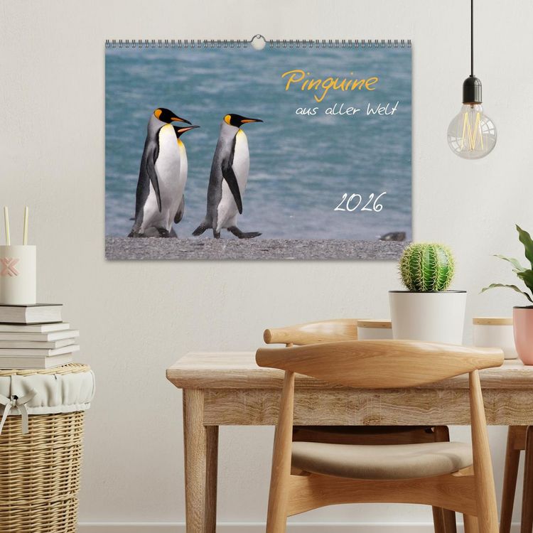 Produktbild: Pinguine aus aller Welt (Wandkalender 2026 DIN A3 quer), CALVENDO Monatskalender