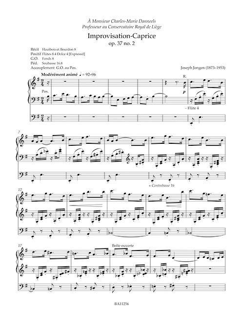 Produktbild: S&auml;mtliche Orgel- und Harmoniumwerke, Band 2