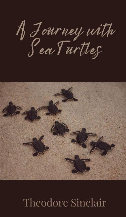 Produktbild: A Journey with Sea Turtles