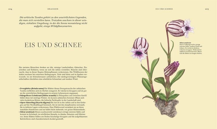 Produktbild: Wildpflanzen