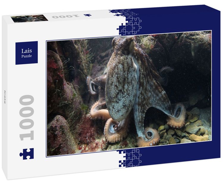 Produktbild: Lais Puzzle Krake 1000 Teile