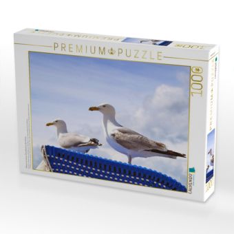 Produktbild: CALVENDO Puzzle M&ouml;wen auf einem Strandkorb an der Ostsee | 1000 Teile Lege-Gr&ouml;&szlig;e 64x48cm Foto-Puzzle f&uuml;r gl&uuml;ckliche Stunden