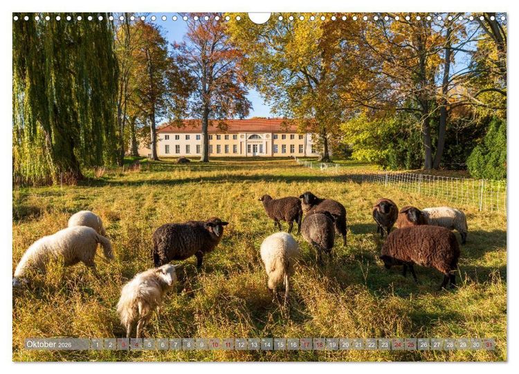 Produktbild: Schl&ouml;sser und G&auml;rten in Brandenburg (Wandkalender 2026 DIN A3 quer), CALVENDO Monatskalender