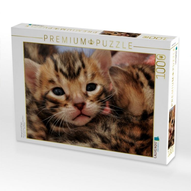 Produktbild: CALVENDO Puzzle Kittengesicht mit 18 Tagen | 1000 Teile Lege-Gr&ouml;&szlig;e 64x48cm Foto-Puzzle f&uuml;r gl&uuml;ckliche Stunden