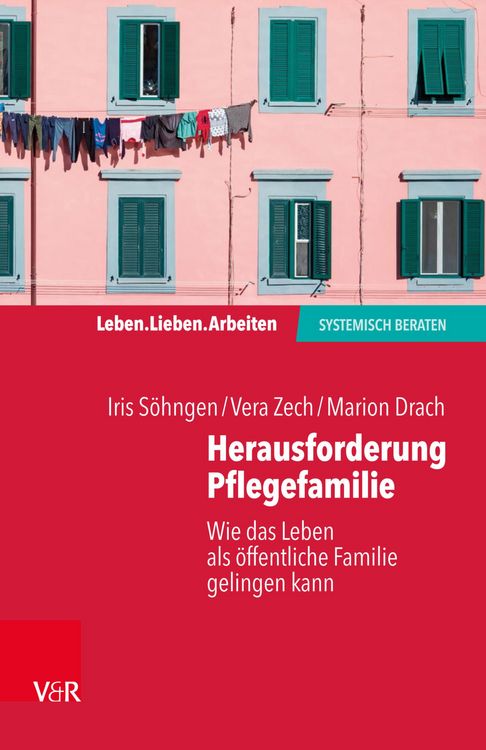 Produktbild: Herausforderung Pflegefamilie