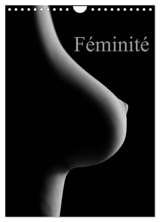 Produktbild: F&eacute;minit&eacute; (Calendrier mural 2027 DIN A4 horizontal), CALVENDO calendrier mensuel