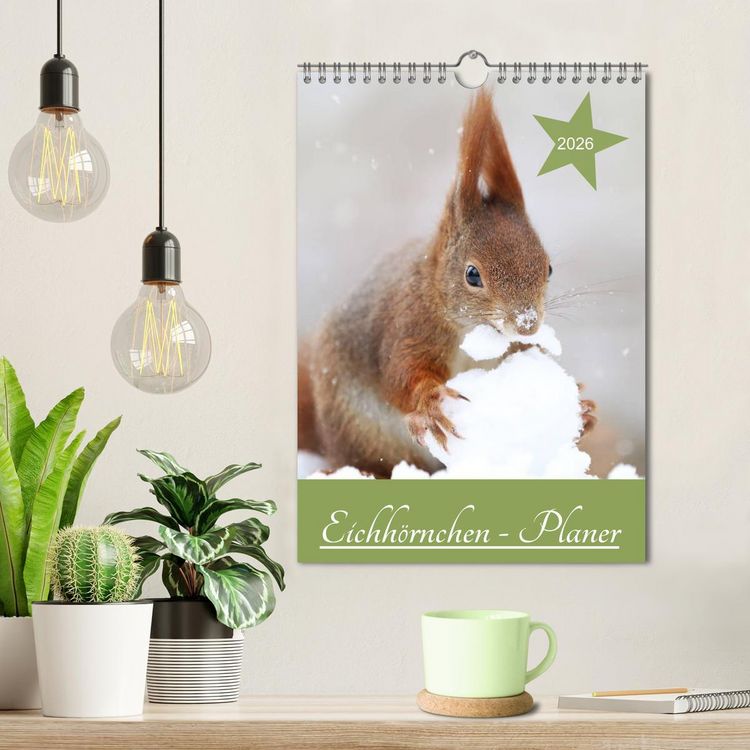 Produktbild: Eichh&ouml;rnchen - Planer (Wandkalender 2026 DIN A4 hoch), CALVENDO Monatskalender