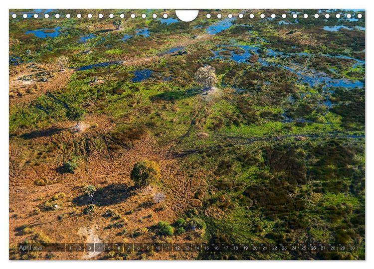 Produktbild: Botswana &ndash; Landschaft und Tierwelt (Wandkalender 2026 DIN A4 quer), CALVENDO Monatskalender
