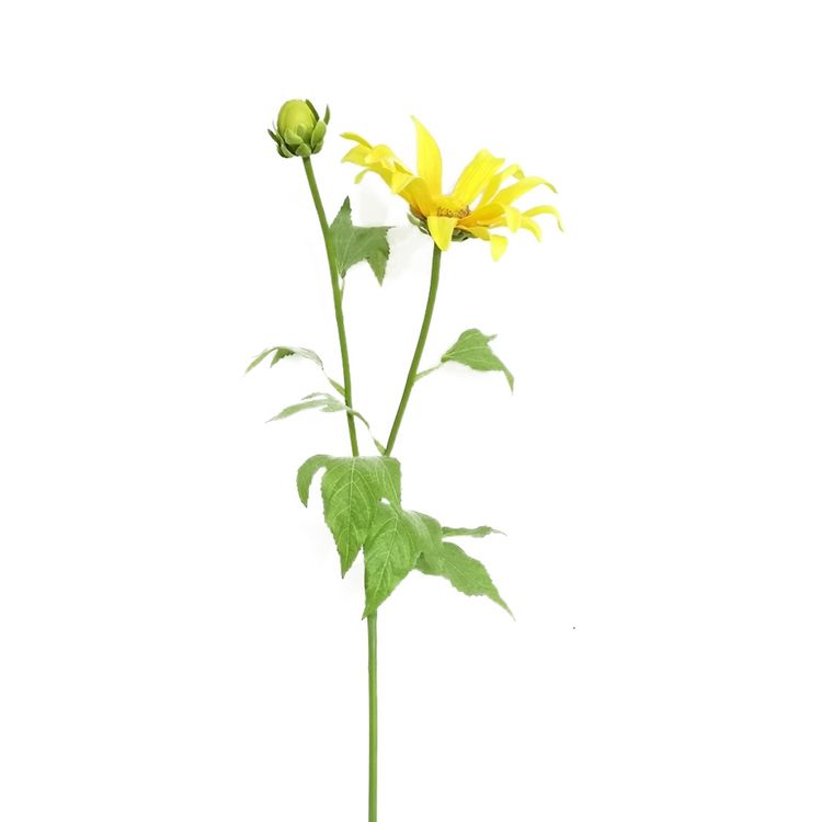 Produktbild: HTI-Living Fr&uuml;hlingsblume Flora gelb, Kunstpflanze Fr&uuml;hlingsblume Flora gelb, Kunstpflanze