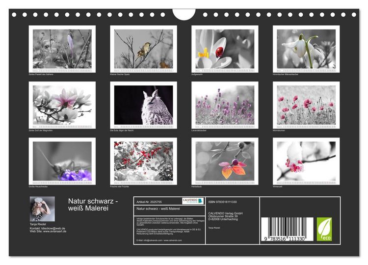 Produktbild: Natur schwarz - wei&szlig; Malerei (Wandkalender 2026 DIN A4 quer), CALVENDO Monatskalender