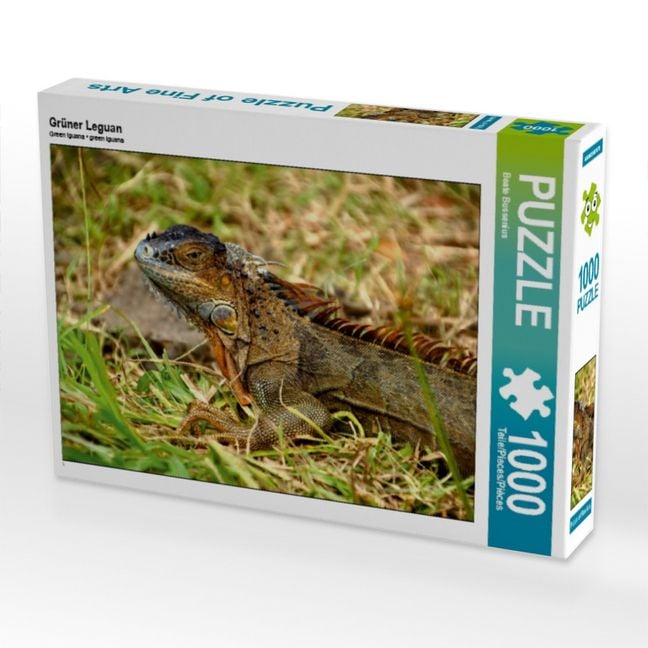 Produktbild: CALVENDO Puzzle Gr&uuml;ner Leguan | 1000 Teile Lege-Gr&ouml;&szlig;e 64x48cm Foto-Puzzle f&uuml;r gl&uuml;ckliche Stunden