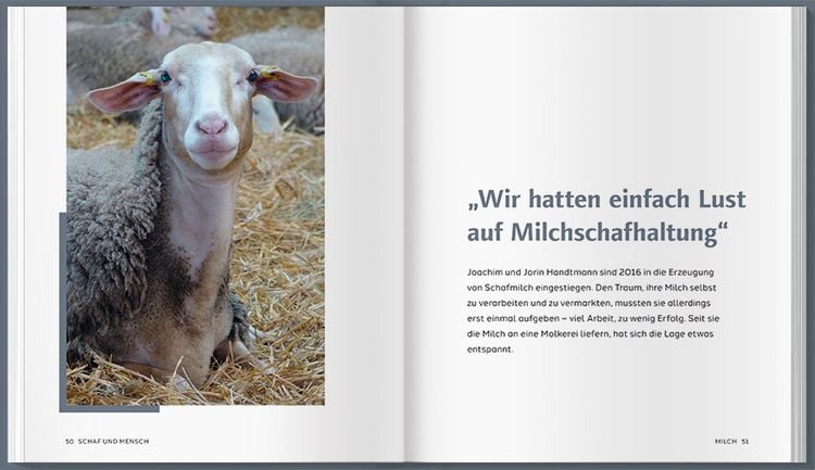 Produktbild: Schaf und Mensch