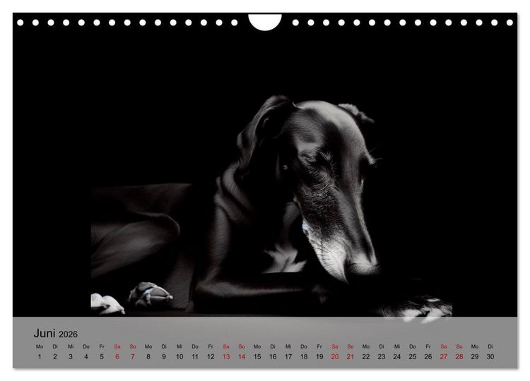 Produktbild: Black is beautiful (Wandkalender 2026 DIN A4 quer), CALVENDO Monatskalender