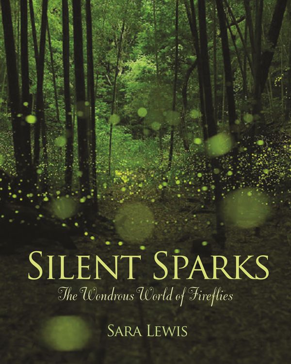 Produktbild: Silent Sparks