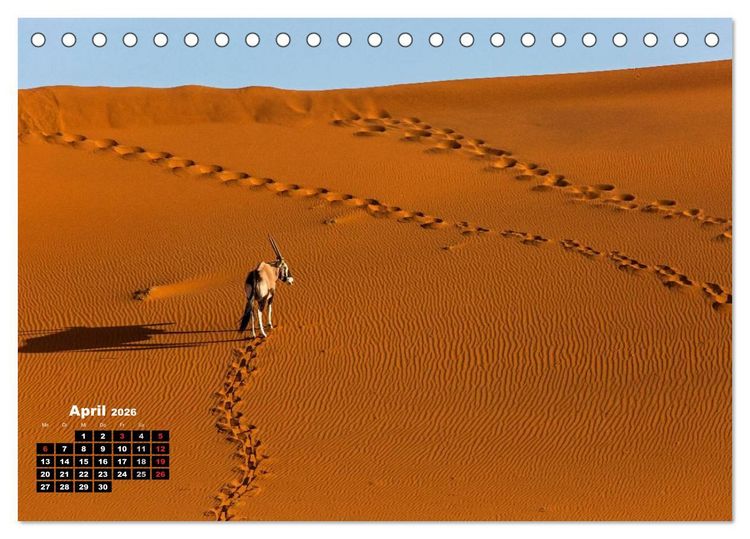 Produktbild: Blickpunkte in Namibia (Tischkalender 2026 DIN A5 quer), CALVENDO Monatskalender