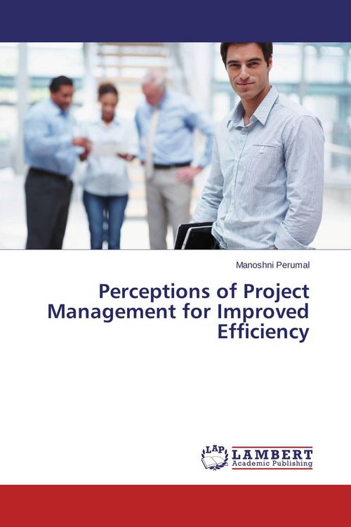 Produktbild: Perceptions of Project Management for Improved Efficiency