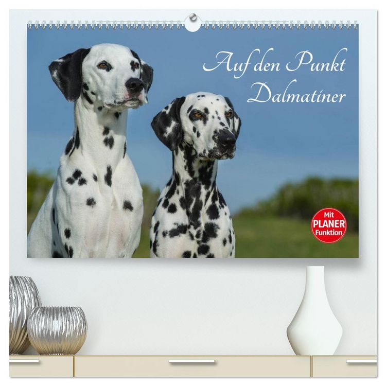 Produktbild: Auf den Punkt - Dalmatiner (hochwertiger Premium Wandkalender 2026 DIN A2 quer), Kunstdruck in Hochglanz