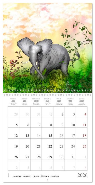 Produktbild: Grands et doux Les &eacute;l&eacute;phants (Calendrier mural carr&eacute; 2026 30x30 cm) Calendrier double avec une page pour vos prises de notes