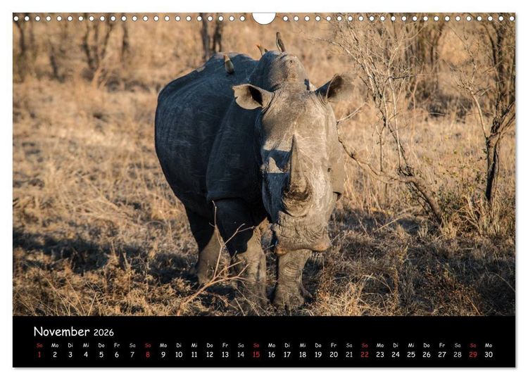 Produktbild: Tier-Momente in Afrika (Wandkalender 2026 DIN A3 quer), CALVENDO Monatskalender