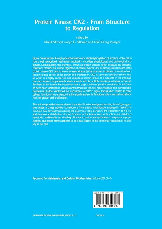 Produktbild: Protein Kinase CK2 &mdash; From Structure to Regulation