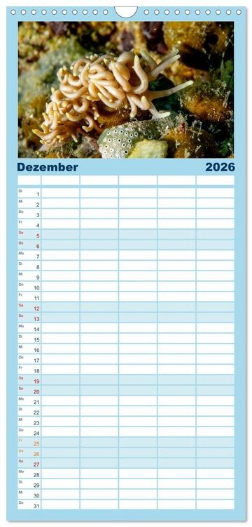 Produktbild: Familienplaner 2026 - Nudis &ndash; Die bunte Welt der Nacktschnecken mit 5 Spalten (Wandkalender, 21 x 45 cm) CALVENDO
