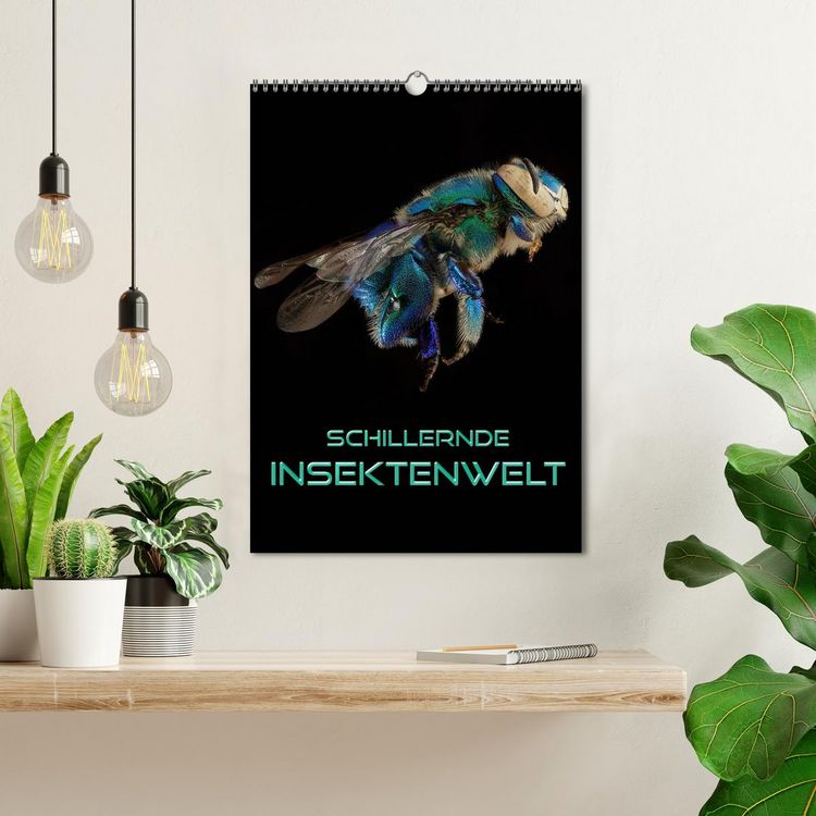 Produktbild: Schillernde Insektenwelt (Wandkalender 2026 DIN A3 hoch), CALVENDO Monatskalender