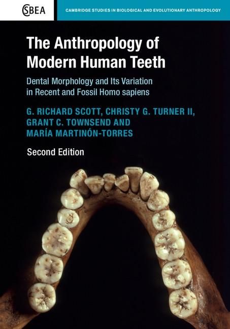 Produktbild: Anthropology of Modern Human Teeth