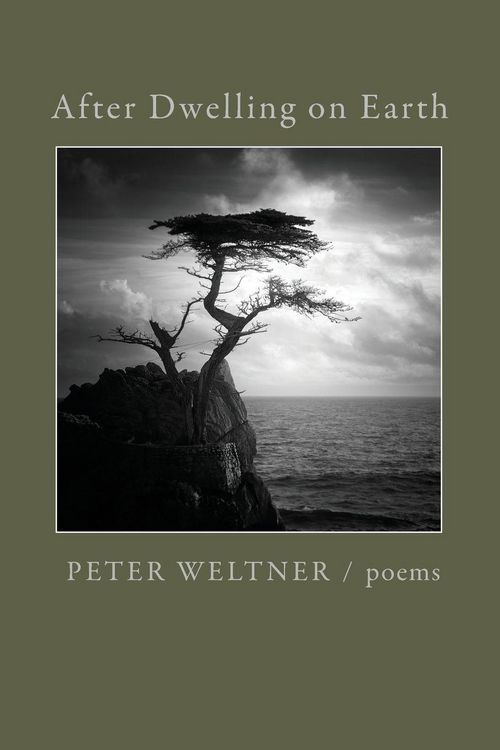 Produktbild: After Dwelling on Earth