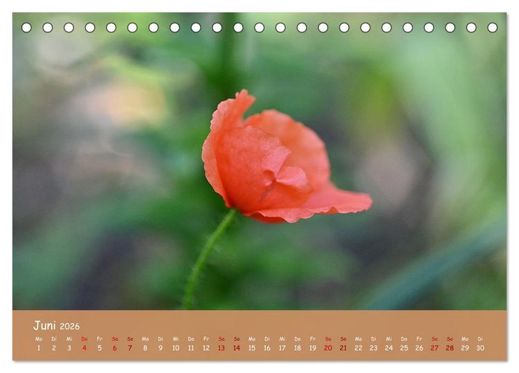 Produktbild: Der Zauber steckt immer im Detail (Tischkalender 2026 DIN A5 quer), CALVENDO Monatskalender