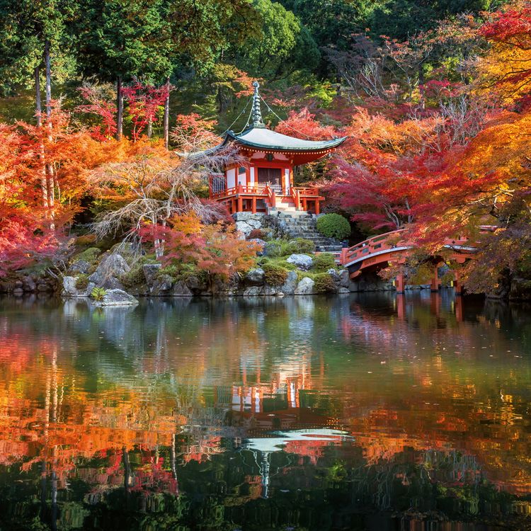 Produktbild: Japanese Garden 2027