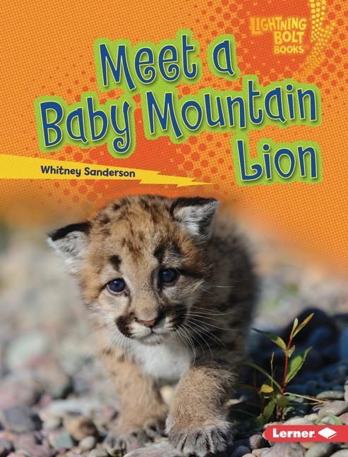 Produktbild: Meet a Baby Mountain Lion