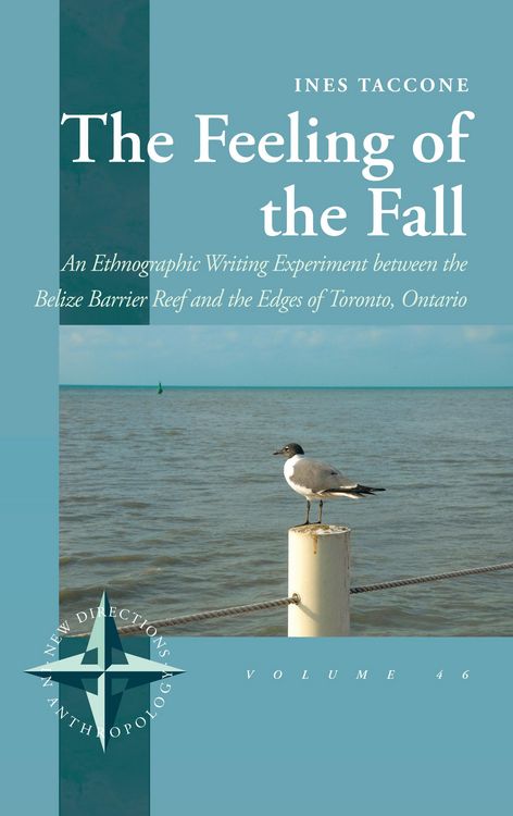 Produktbild: The Feeling of the Fall