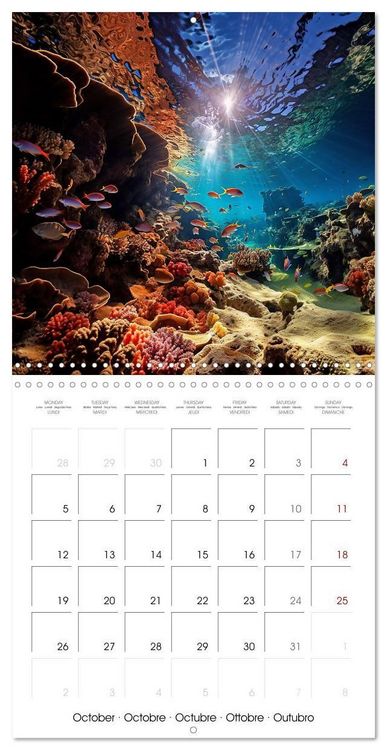 Produktbild: Beside tropical beaches (Wall Calendar 2026 12 &times; 12 Inch) CALVENDO 12 Month Wall Calendar