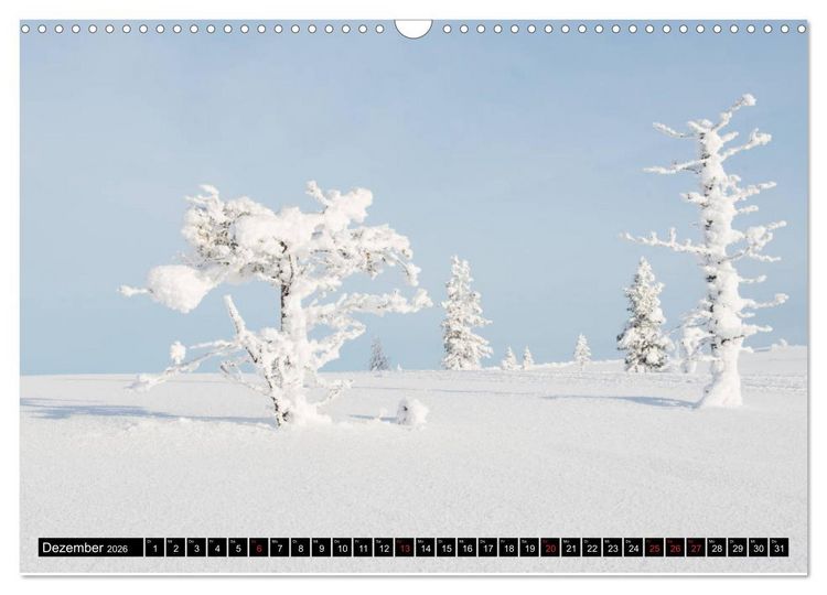 Produktbild: B&auml;ume in der Welt (Wandkalender 2026 DIN A3 quer), CALVENDO Monatskalender