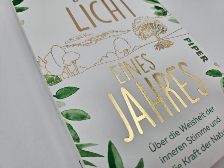 Produktbild: Das Licht eines Jahres