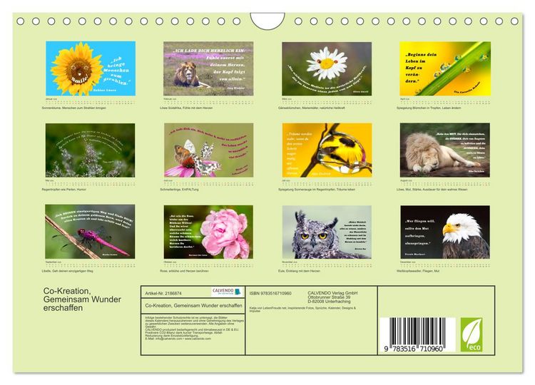 Produktbild: Co-Kreation, Gemeinsam Wunder erschaffen (Wandkalender 2026 DIN A4 quer), CALVENDO Monatskalender