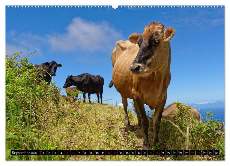 Produktbild: Sao Miguel Azoren - Vulkanisch gepr&auml;gte Trauminsel im Atlantik (hochwertiger Premium Wandkalender 2026 DIN A2 quer), Kunstdruck in Hochglanz