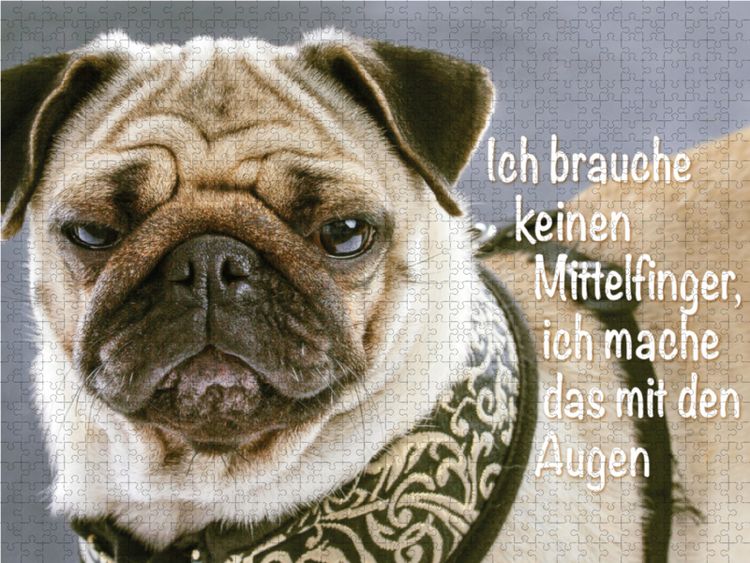 Produktbild: CALVENDO Puzzle Ich brauche keinen Mittelfinger, ich mache das mit den Augen. | 1000 Teile Lege-Gr&ouml;&szlig;e 64x48cm Foto-Puzzle f&uuml;r gl&uuml;ckliche Stunden