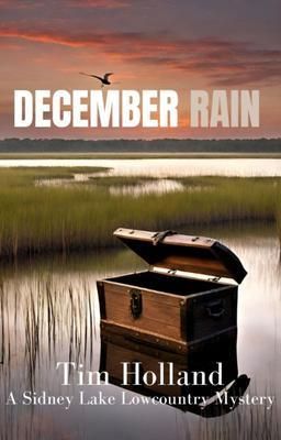 Produktbild: December Rain