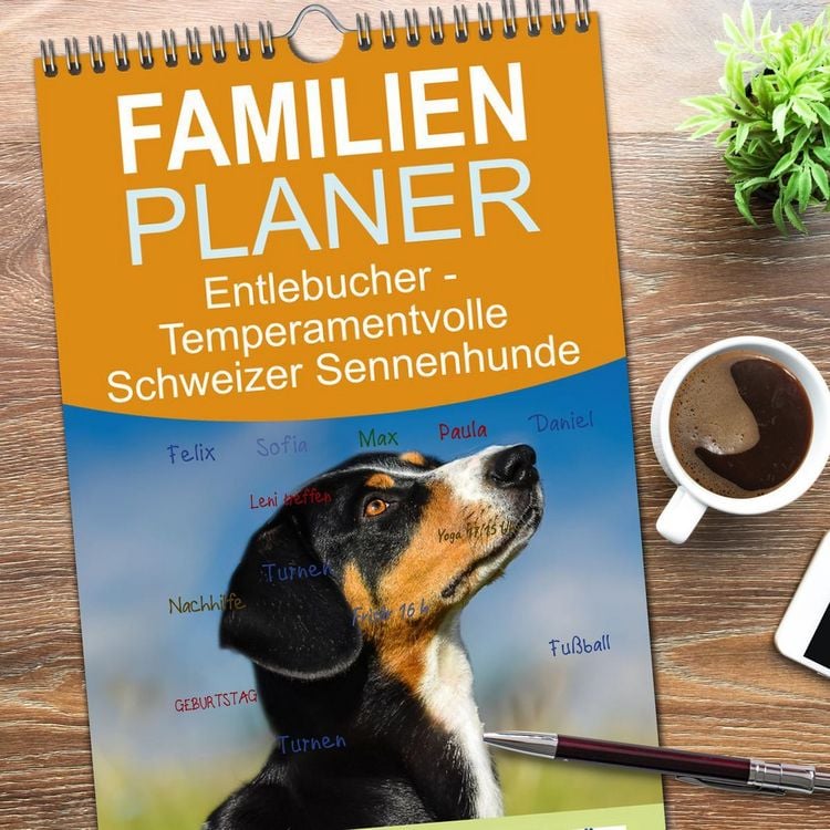 Produktbild: Familienplaner 2026 - Entlebucher - Temperamentvolle Schweizer Sennenhunde mit 5 Spalten (Wandkalender, 21 x 45 cm) CALVENDO