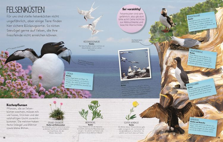 Produktbild: Wilde Natur