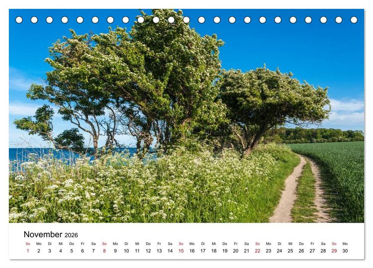 Produktbild: Fehmarn - "fe mer" nat&uuml;rlich "am Meer gelegen" (Tischkalender 2026 DIN A5 quer), CALVENDO Monatskalender