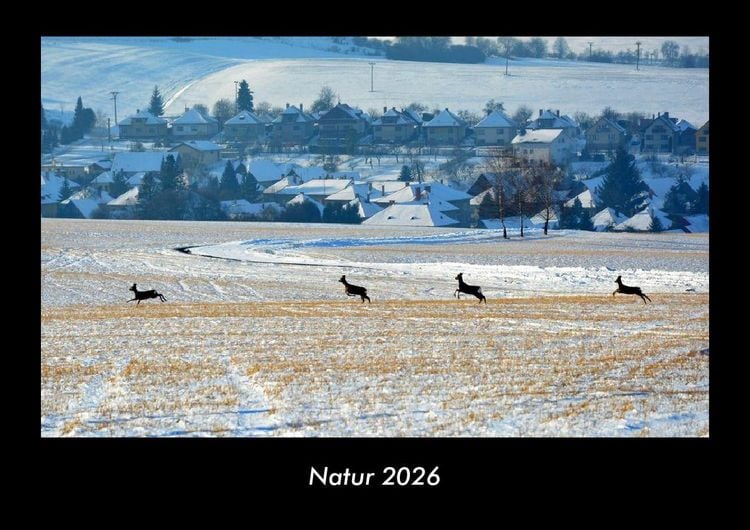 Produktbild: Natur 2026 Fotokalender DIN A3
