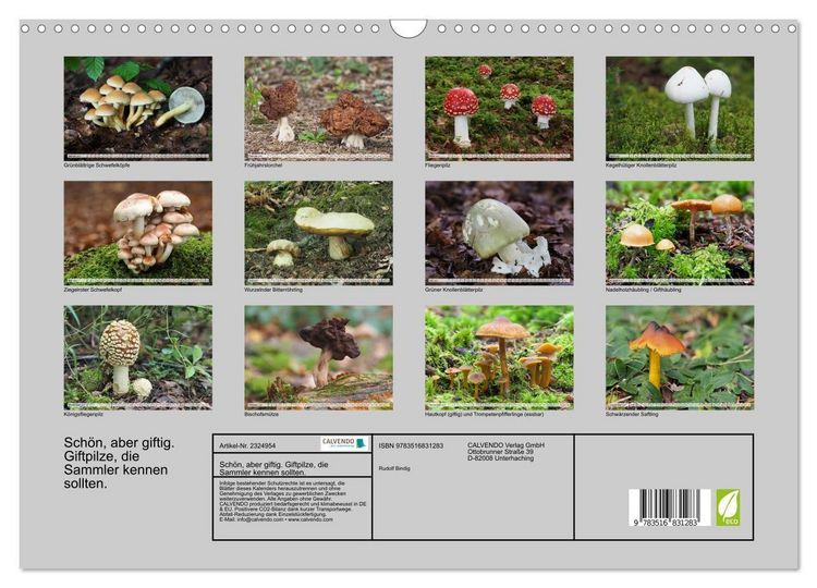 Produktbild: Sch&ouml;n, aber giftig. Giftpilze, die Sammler kennen sollten. (Wandkalender 2027 DIN A3 quer), CALVENDO Monatskalender