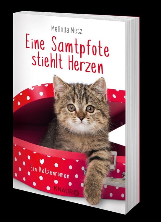 Produktbild: Eine Samtpfote stiehlt Herzen