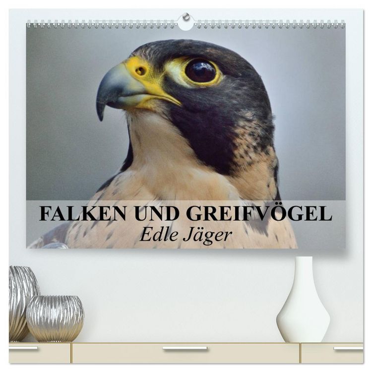 Produktbild: Falken und Greifv&ouml;gel. Edle J&auml;ger (hochwertiger Premium Wandkalender 2026 DIN A2 quer), Kunstdruck in Hochglanz