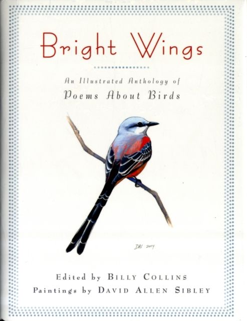 Produktbild: Bright Wings
